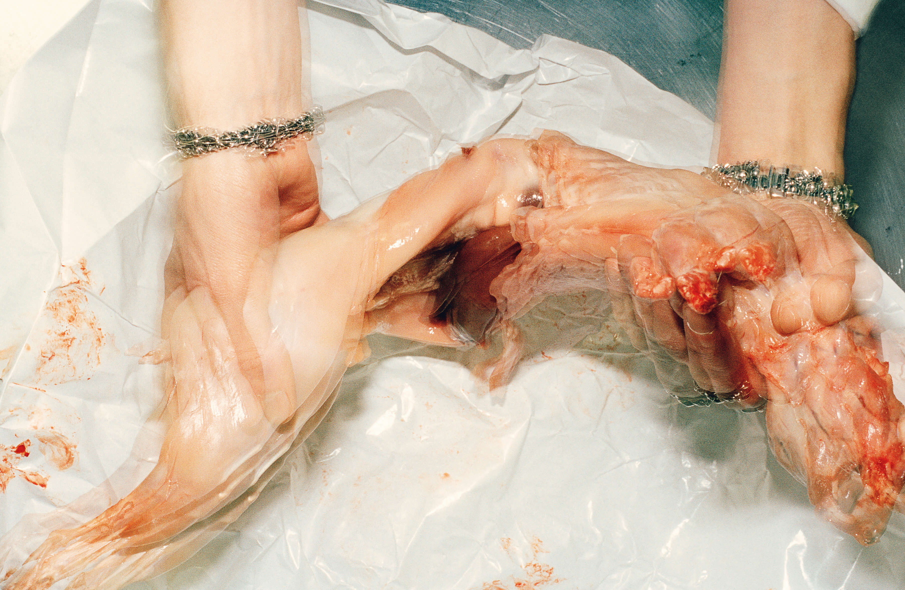 MASSES Magazine No. 5 – L'Ortolan, Photography by CG Watkins, Fashion by Rich Aybar, with Golo Pauleit at Tomorrow Is Another Day – 2015
